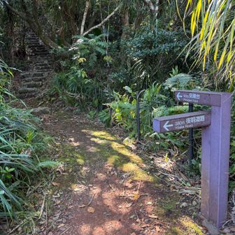 最後の階段を登ります。