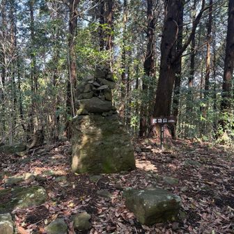 さて到着⛰️
最後の登りが前日のぬかるみで大変だった😅