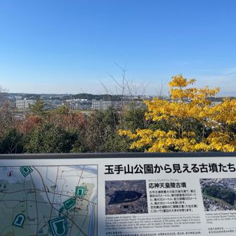 あのモコモコが応神天皇陵古墳だね！
横から見てもよく分からない😅
