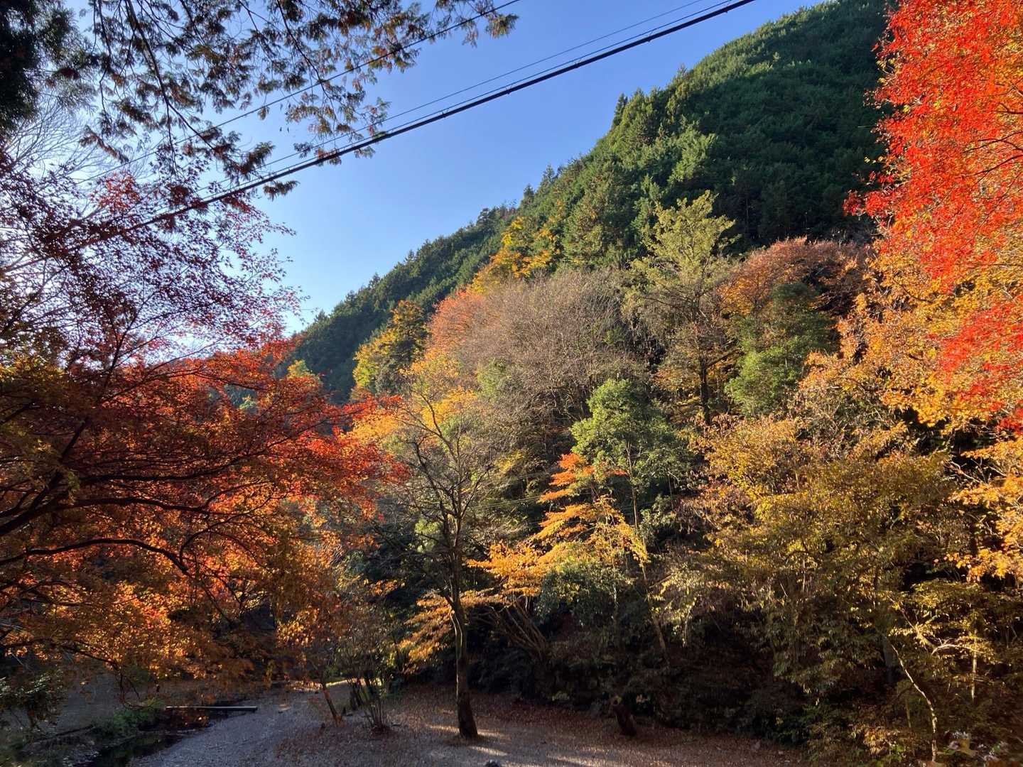 紅葉を眺めながら舗装路を登ります。