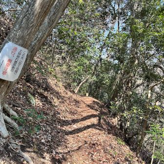 反対の道を進みますが、こちらは土砂崩れ箇所ありです⚠️