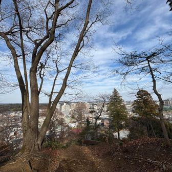 展望広場からの高尾駅側の眺め
