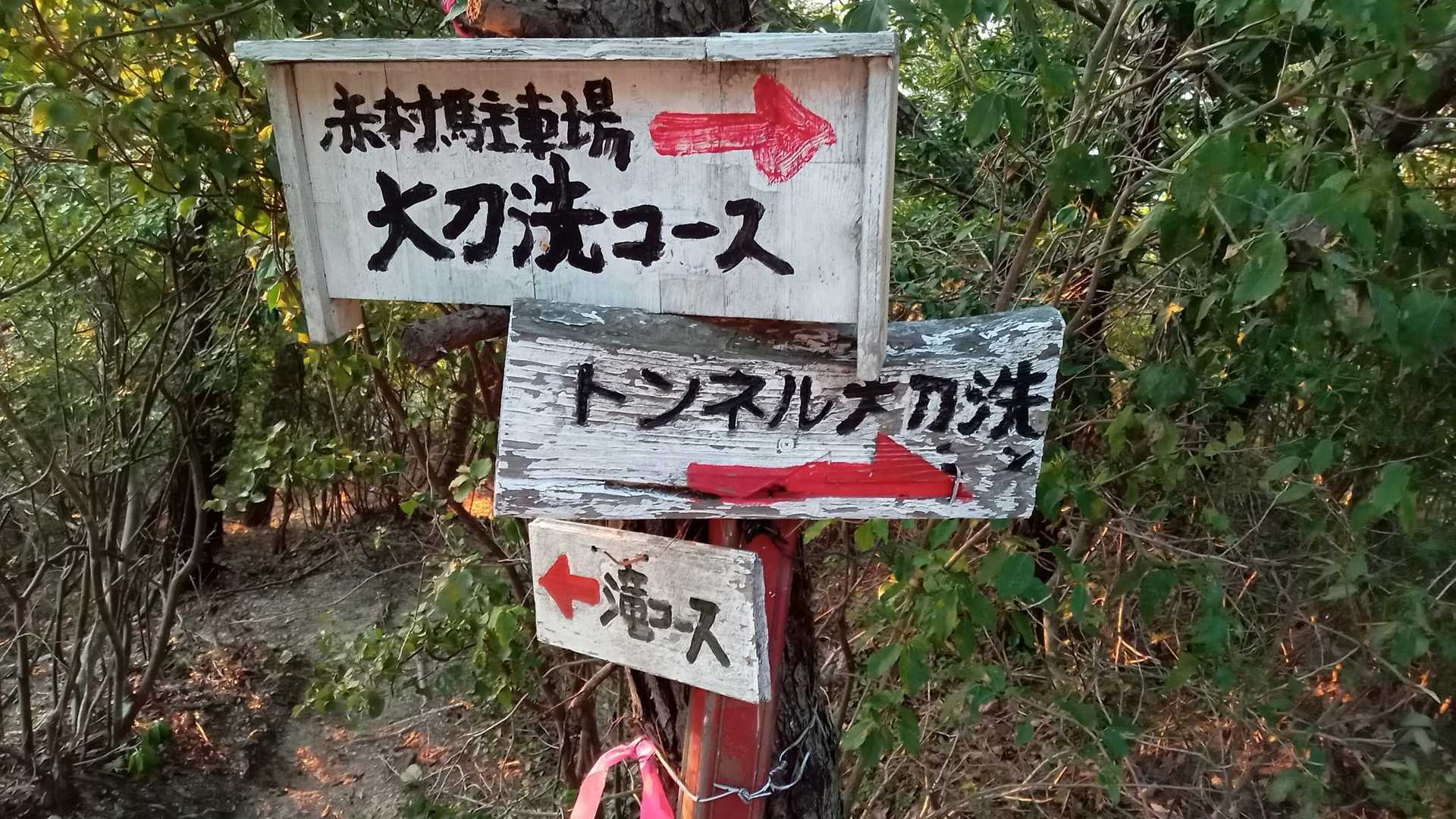 前回は滝コース経由で添田公園に下りた(左)
今回は赤村駐車場大刀洗コースと書かれてる右へ！