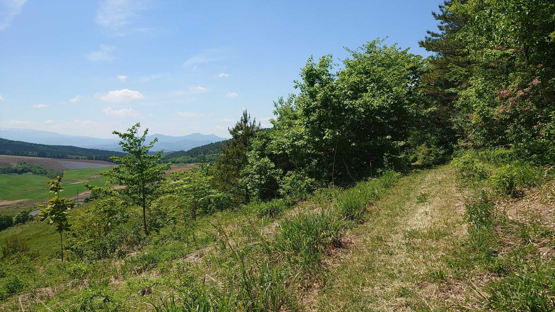 ここらへんでも山菜とりの人見かけた。