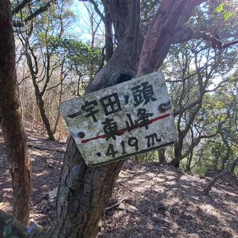 一宇田の頭東峰▲