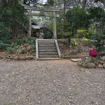 ８座目は
金毘羅神社⛩️