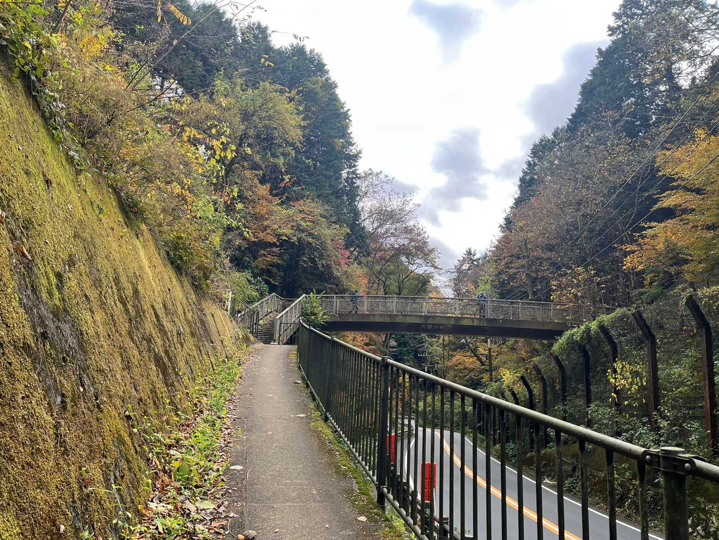 あの陸橋を通って右側の登山道へ入ります。