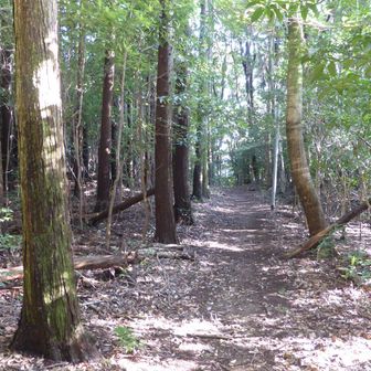 キャンプサイト脇から下り