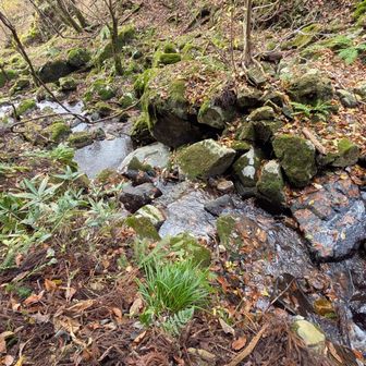 夏は最高だろうな〜