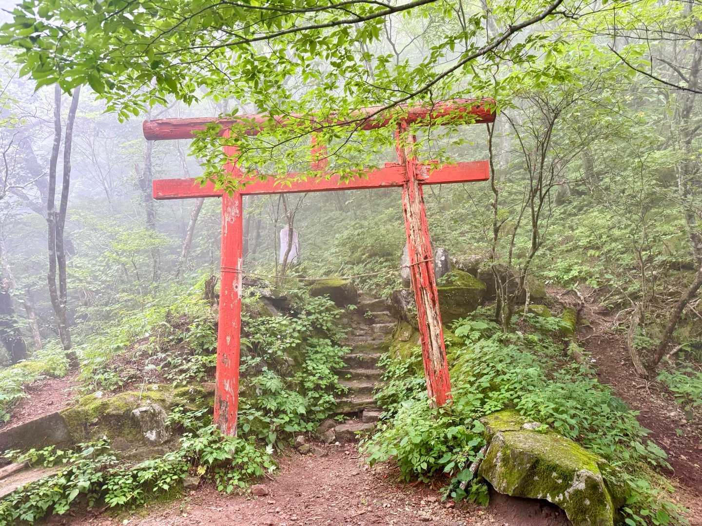 鳥居⛩️に到着！