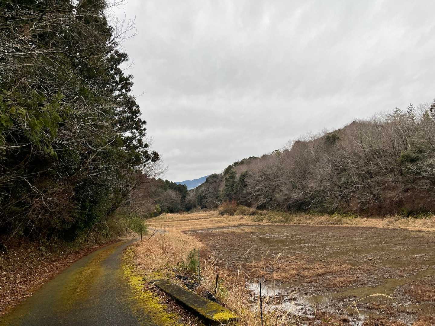 もう少し歩いて🅿️到着です
こんなにいいところが近くにあったんですね。また来ましょ☺️