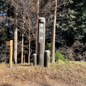 ブナ峠
漢字が読めなかった🐜？アリじゃないね😅

コレも立派な峠名版？😄