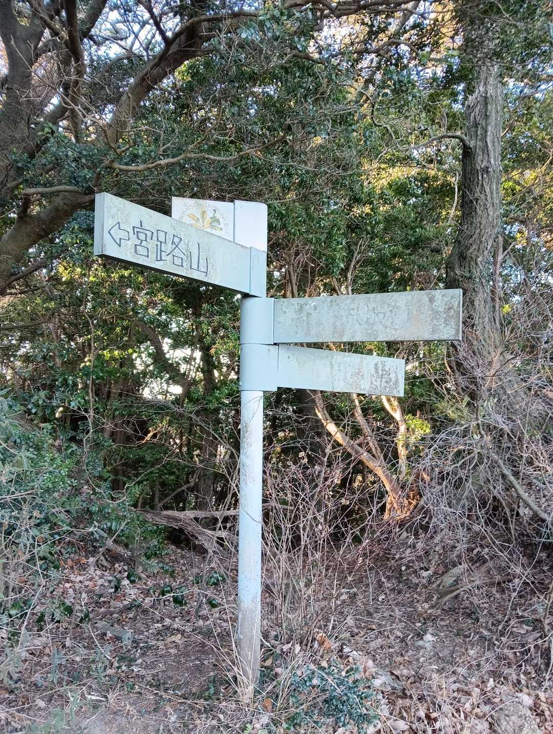 もうすぐ上が宮路山ですが、この分岐を五井山へと向かうよ。
