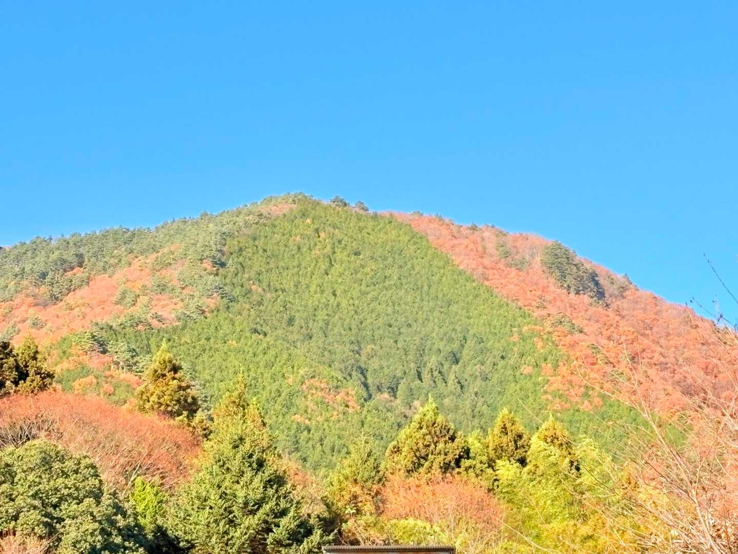 先ほどまでいた百蔵山