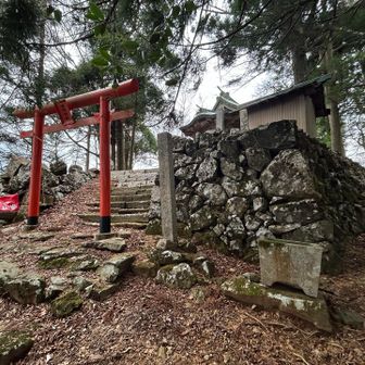 石垣があるとどうしても気になってしまう…😅