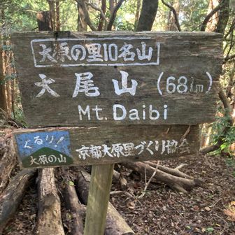 約3年ぶりの大尾山

前回軌跡を残せなかった三千院への下山ルートは、またいつかリベンジしたいです