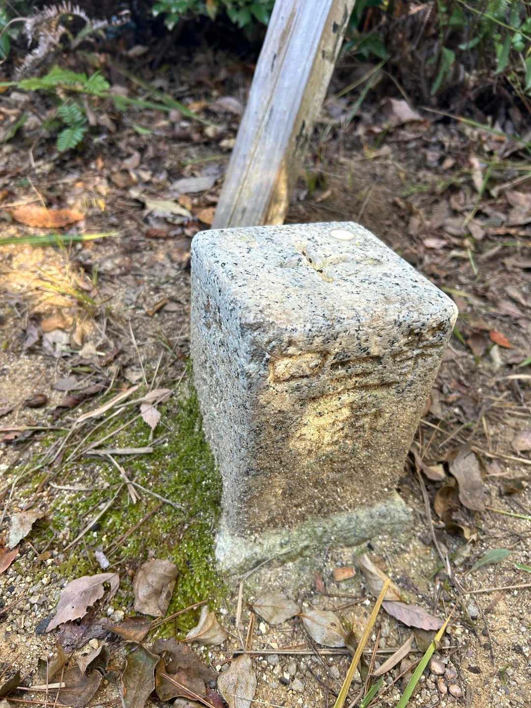 大原山山頂⛰️
山頂標識は無しでした。