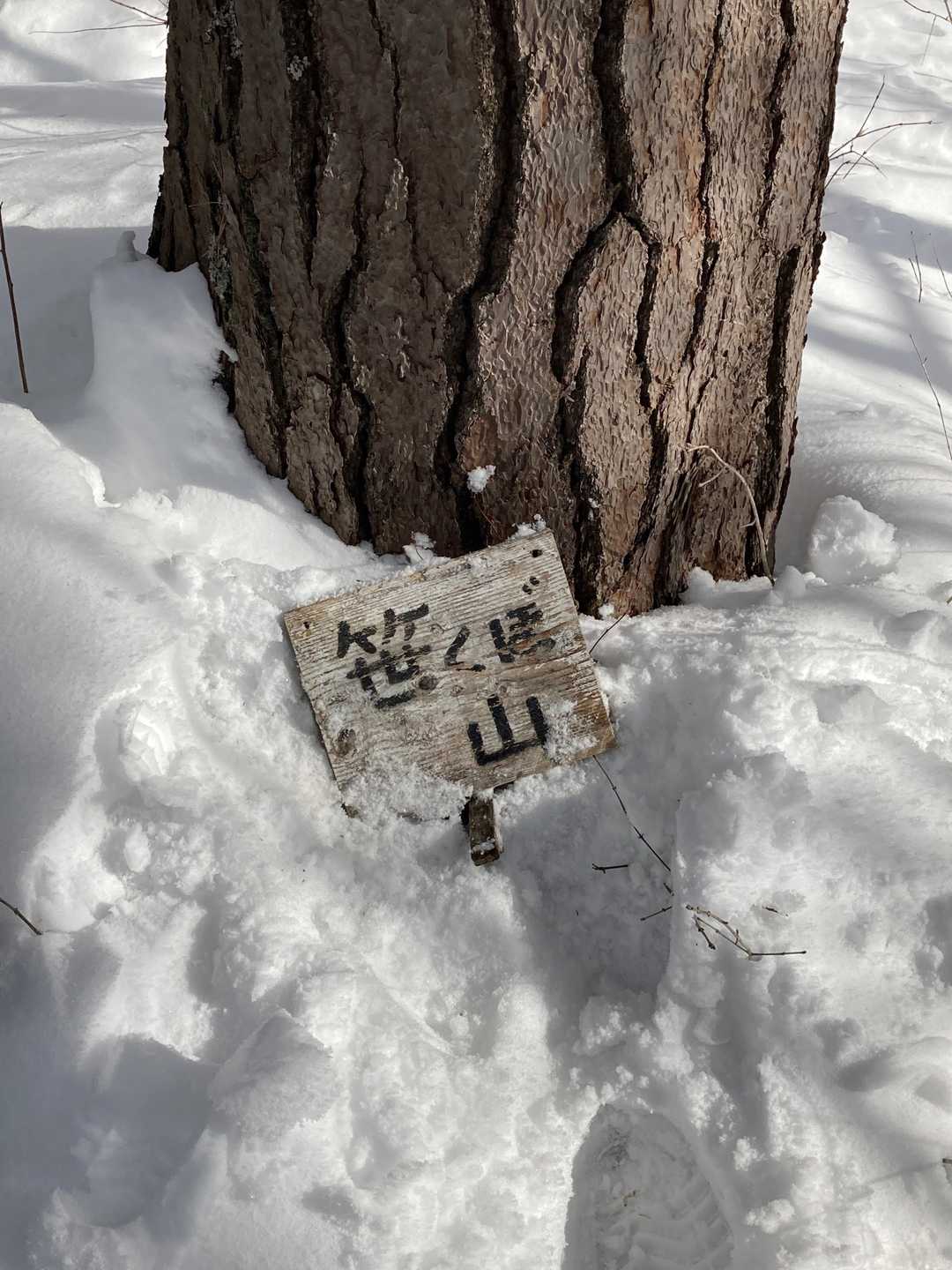 掘り出しましたよ。