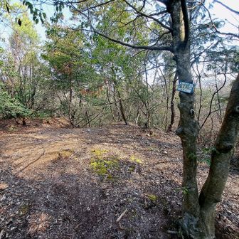 虚空蔵山⛰️
🆖️眺望なしやけど、ピークハントにこだわった✌