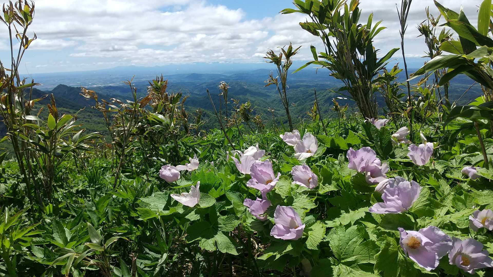 待根山の写真