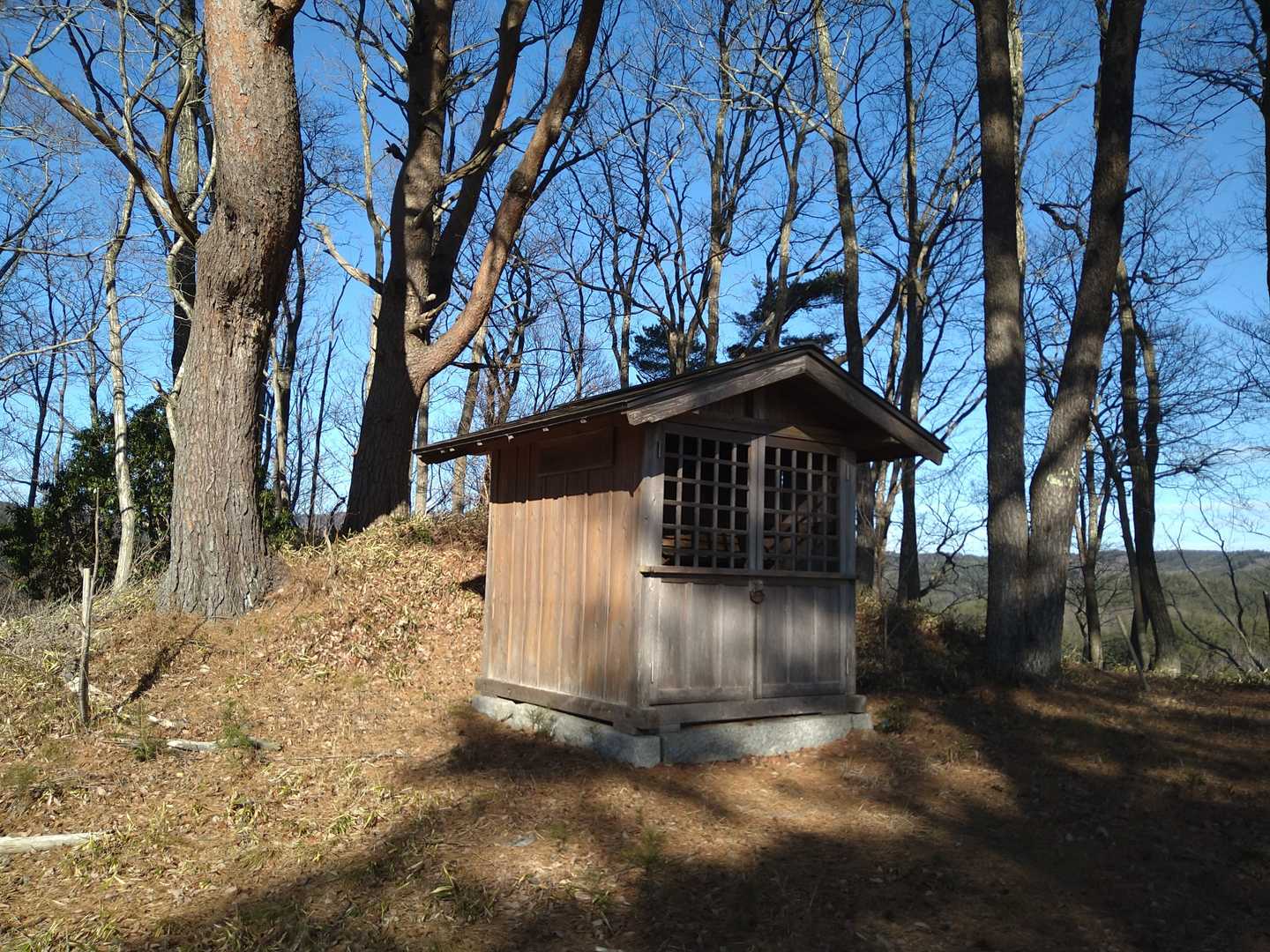 アッと、いう間に舘山の山頂到着