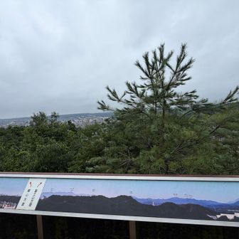 👨「何にも見えませんね…」

まあまあ、そんな日もあるさ
また白髪染め、よろしくお願いします🙇‍♀️