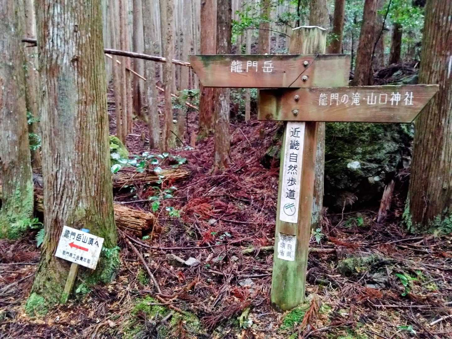 ここは近畿自然歩道🚶