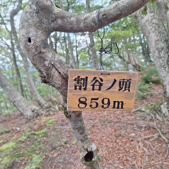 山標📸景色はありません😅