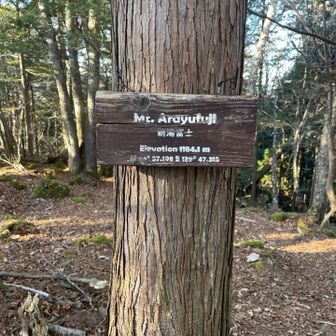 ありました、新湯富士(富士山)