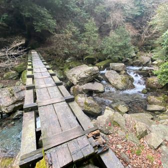 鉄骨の橋を渡る
川の水が綺麗
