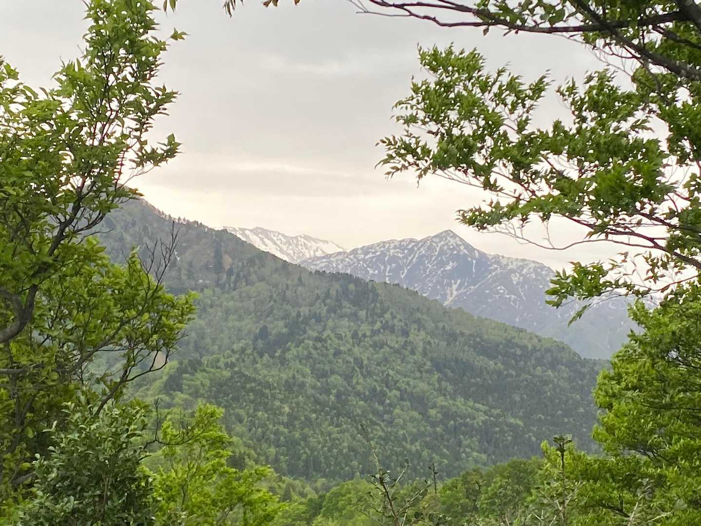 向かって左から大辻山、薬師岳、鍬崎山