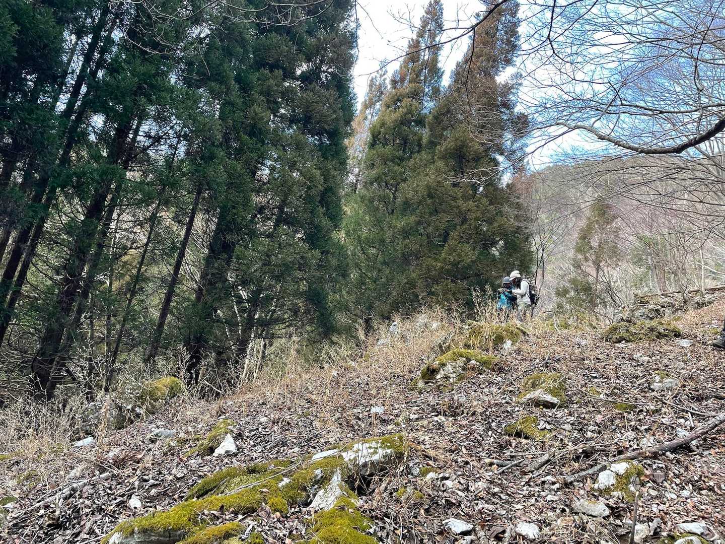 お2人もなかなか下山できないようです(≧∀≦)