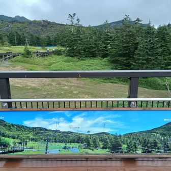あー残念見たかったなぁ
麦草峠に帰ろ！