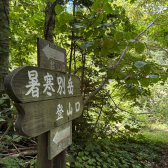 サクッと下山