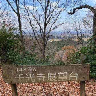 千光寺展望台にて。