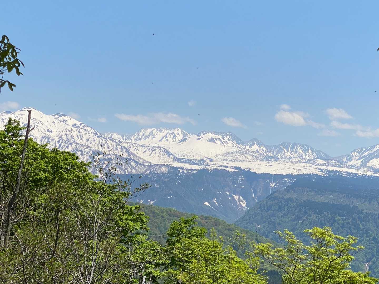 絶景〜😍
来て拝む山だね⛰
1人なら望遠レンズ持って登りたいお山だわ📸
虫がいっぱい写り込んでる😅