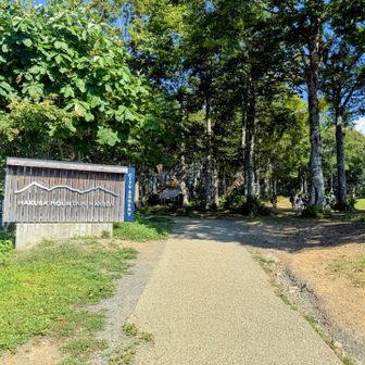 公園内の歩道を進んで、ちゃちゃっとピーク踏みにいきます