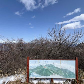 この看板が立てられた頃には、もっと見晴らしが良かったんだろうな🥴