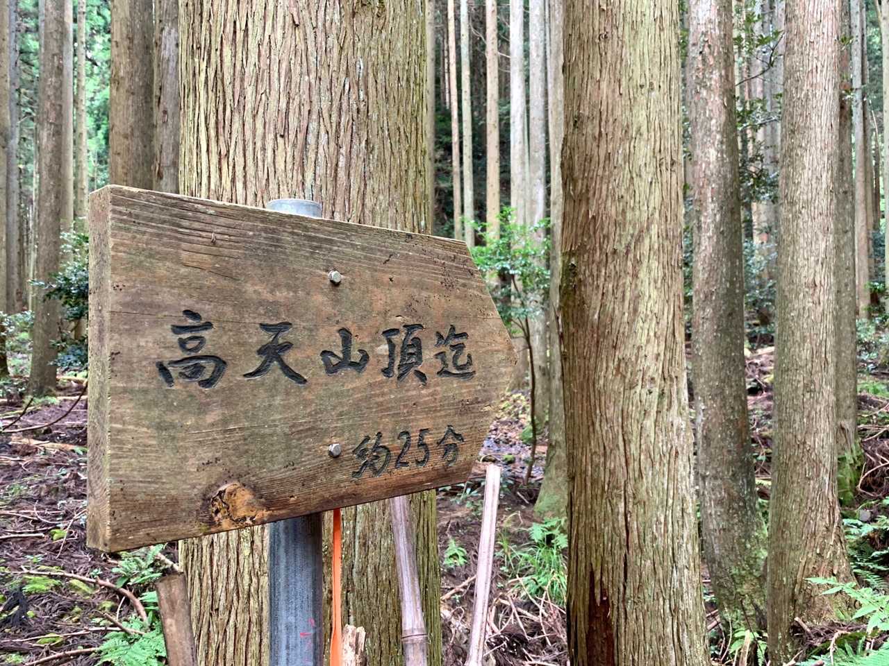 杖をお借りしました😌