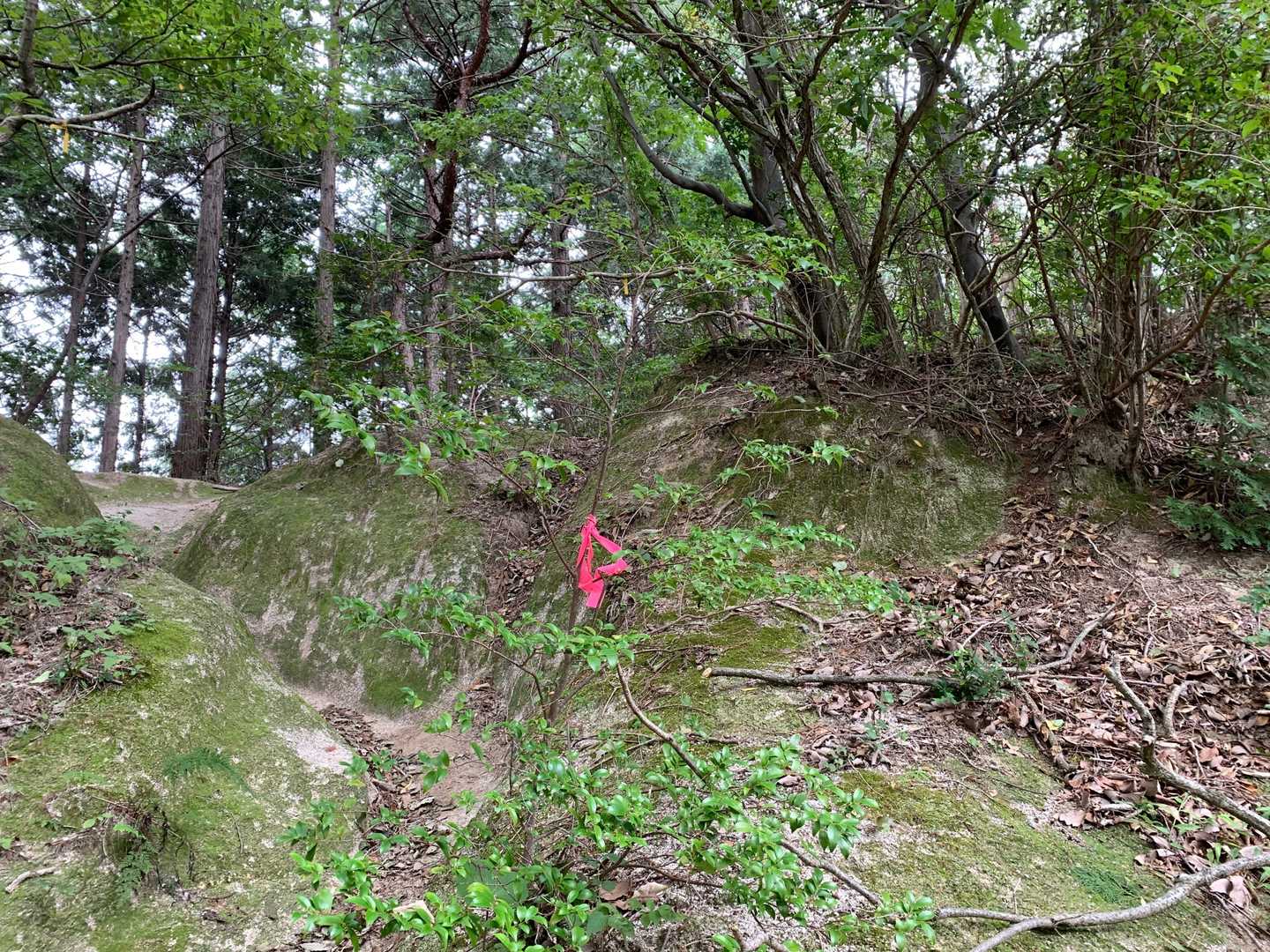 分岐は基本赤紐があったのと、フィールドメモを参考に、ほぼ迷わず進めました👍
