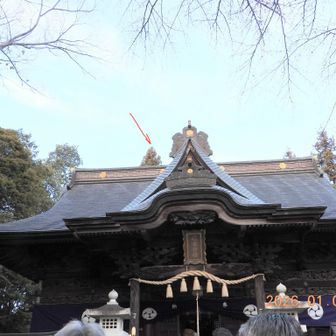 参拝の列に並びながら本堂の上を見上げると