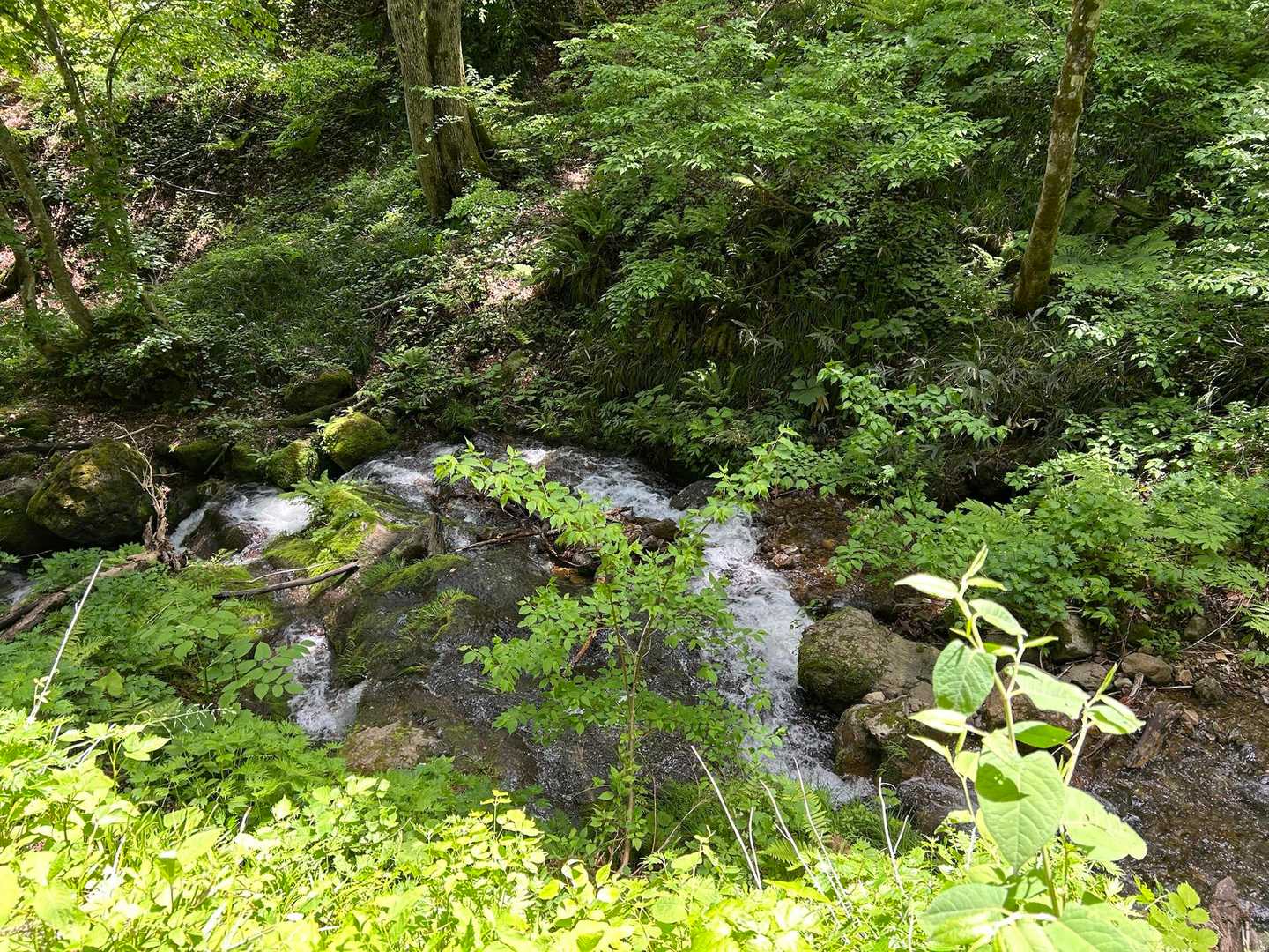 沢が気持ち良い