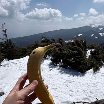 バナナは縞枯山展望台で