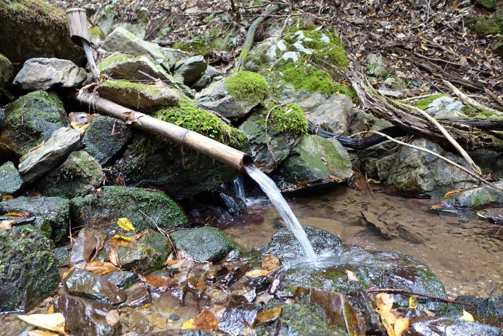 飲まずですが水場ありました🚰