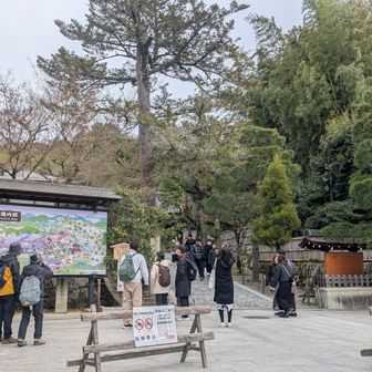 銀閣寺です入らず伏見稲荷に戻ります