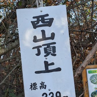 西山（339m）