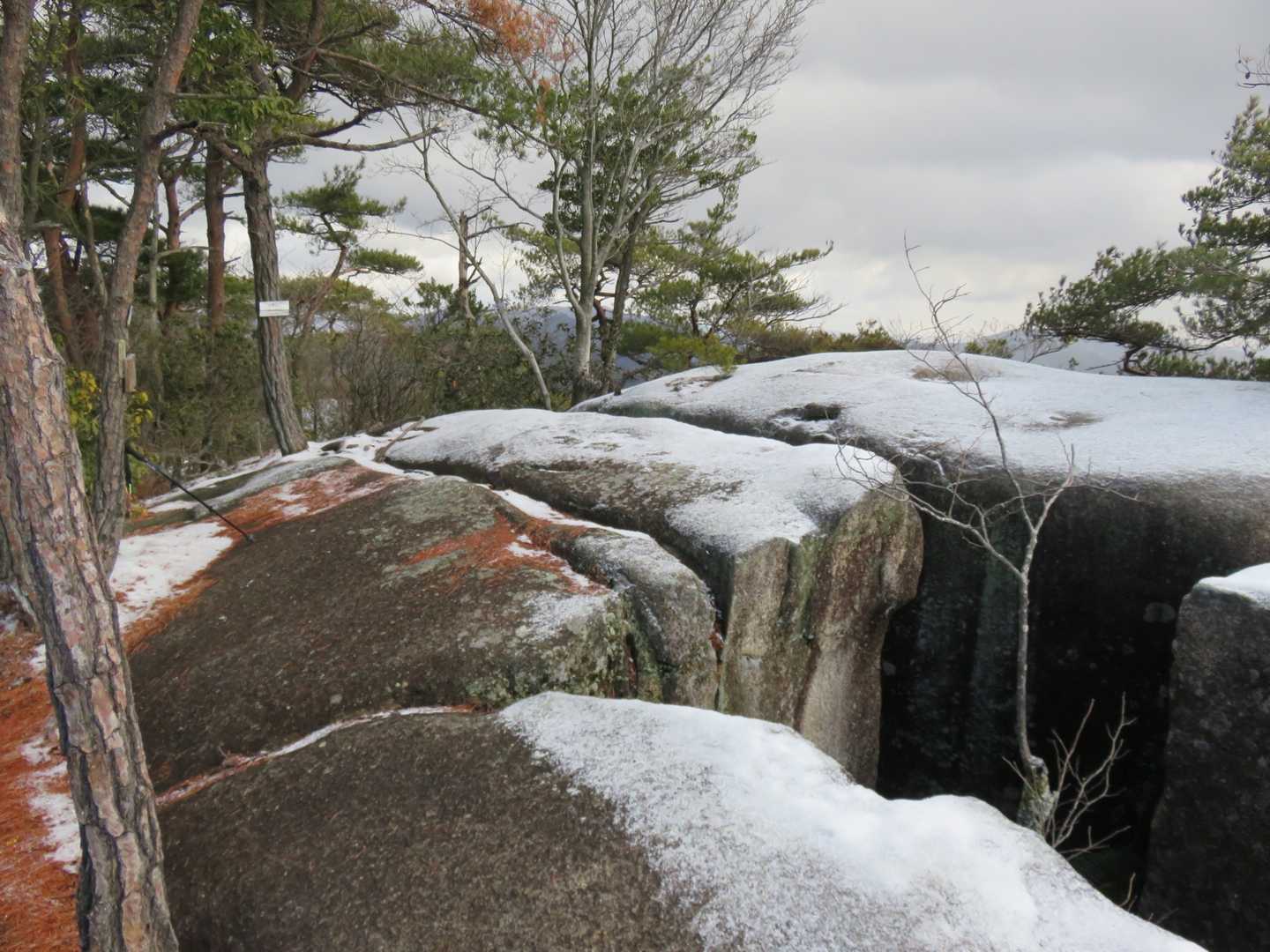 宮ヶ迫山-中野山 往復コースの写真