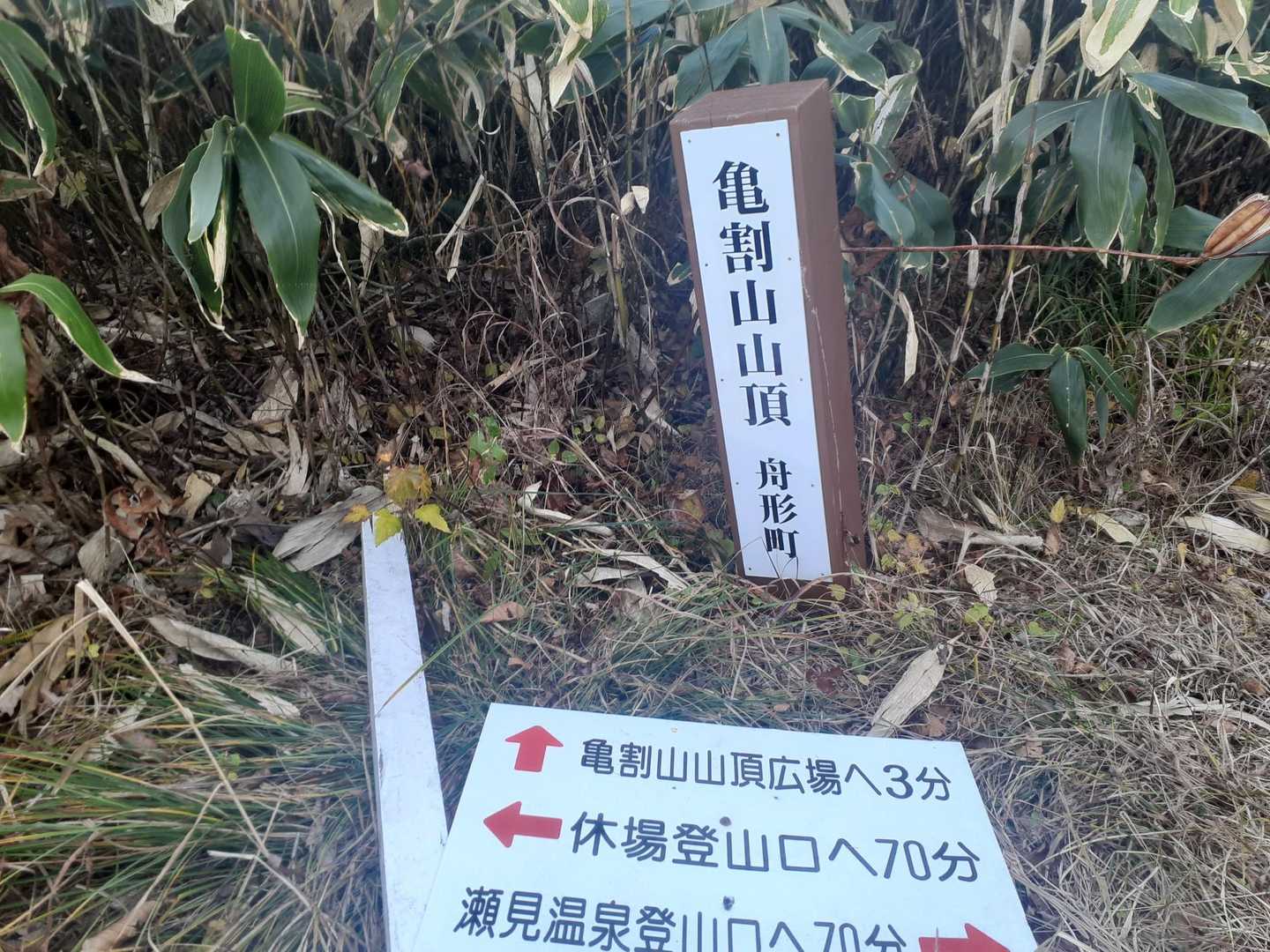 亀割山山頂到着