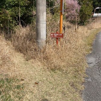 直ぐに登山口があります
