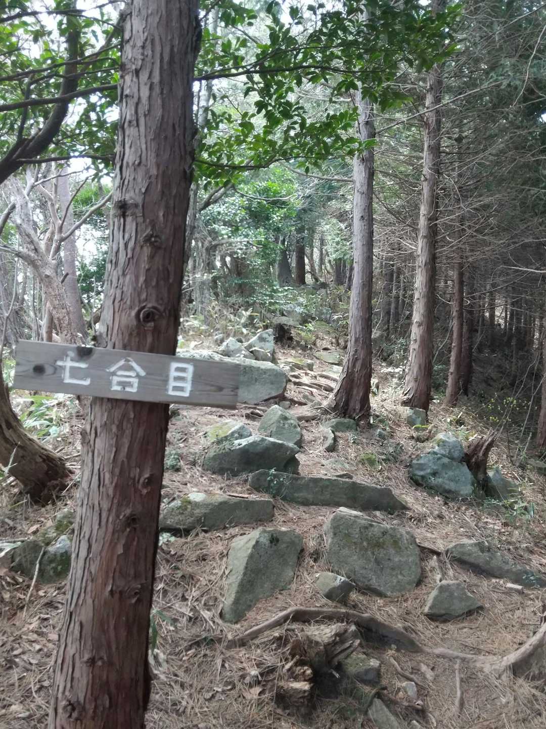 七合目まだまだ😅